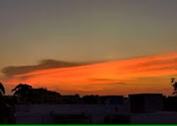 Cabana (D28), Terrace #445826751